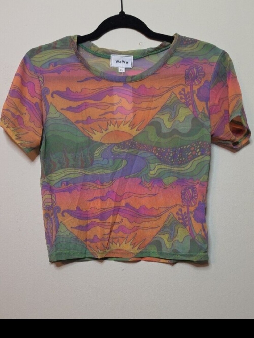 WoWo Sheer Mesh Multicolor Crop Top - Vibrant Print